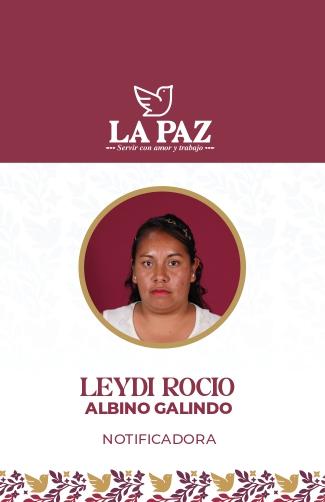 Image43